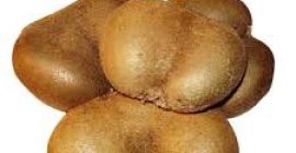 Exstra Sp. Z o. O. Ofrece entrega de KIWI