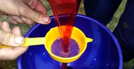 Vendo uvas Mostaza Moscatel Ottonel, Merlot y Mustuasa de