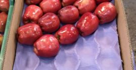 manzana Variedad: Red Delicious Tamaño: 140gr-200gr Envasado en cesta