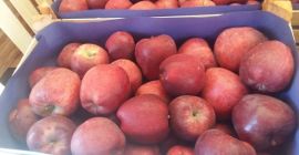 Mayor vendedor de manzanas frescas en todo el mundo.