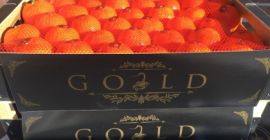 Ofrezco mandarinas de España. variedad oronulis, diferentes calibres. Para