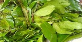 eru fresco disponible para la exportación en Dinamarca, póngase