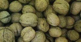 Venderé 3-4 bolsas grandes de nueces. Los niños se