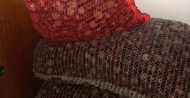 Buen día. Tengo que comprar castañas de 100 kg