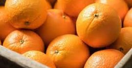 Posee una granja en Nagpur, Maharashtra. Las naranjas son