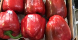 Ofrecemos pimiento rojo de 1 grado, variedad California, empaquetado