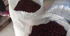 Hola, tenemos 45 toneladas de escaramujos de alta calidad