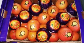 Te invitamos a comprar pomelo rojo, origen Turquía, precio