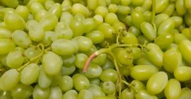 Urgente -Venta uva sin pepitas, 15 cal. Al precio