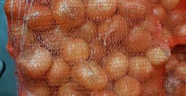 Venderé cebollas amarillas frescas Tenemos cebollas amarillas frescas listas