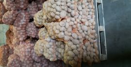 Wineta - papa comestible muy sabrosa. 15 kg-30 kg