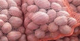 Patatas Bellarosa comestibles