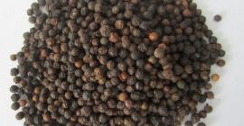 Black Pepper Whatsapp: +13236413248 Precio: $ 5500 por TM