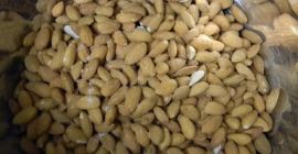 Almond Nuts Whatsapp: +13236413248 Precio: $ 2000 por TM