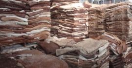 DONKEY HIDES Pieles y pieles de animales Whatsapp: +13236413248