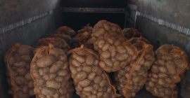 Patatas gelatinosas a la venta, precio negociable. Proporcionaré más