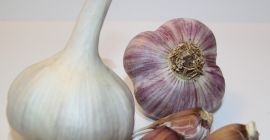 Ajo fresco de la variedad Lyubasha. ¡Cultivo alemán! Lyubasha