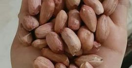 Vende cacahuetes de muy buena calidad.