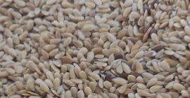 Hola. Venderé lino dorado de la cosecha de este