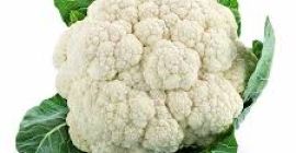 Compraré coliflor: ¡grandes cantidades a Nápoles, camiones! solo para