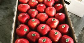 Entrega de manzanas rojas de primer nivel en diversas