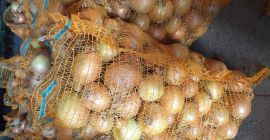 Venderé cebolla de más de 4,5 cm, saco de