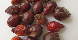 Cosecha del año 2020, fruta de rosa mosqueta seca