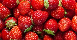 Venta de fresas congeladas de alta calidad de la