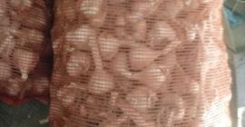 Venderé ajo de invierno. El precio es de 8