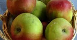 Manzanas eco naturales de Candesti Deal, condado de Dambovita