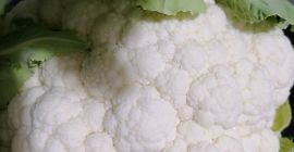 Coliflor de excelente calidad procedente del noroeste de Turquía.