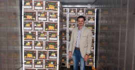 Capacidad de suministro: 16000 cajas / cajas por día