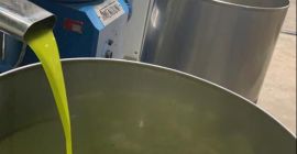Aceite de oliva virgen extra del valle del Jordán