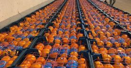 En Aria Lotus Atlas, entregamos fruta de la más