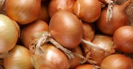 Venta de cebollas de excelente calidad, aptas para almacenamiento