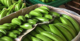 Vendemos bananas y diferentes tipos de frutas para más