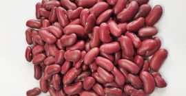 Frijoles mungo verde de cosecha fresca, frijoles rojos para