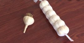 Ajo de primera calidad Calibre entre 30 mm y