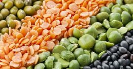 Nombre: Lentejas verdes y rojas Variedad: Lentejas verdes y