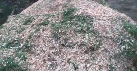 Fichas forestales para arándanos con entrega. Las astillas están