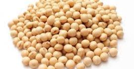 Ucrania ha cultivado soja desde la antigüedad. La soja