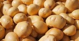 Patatas sudafricanas de producción ecológica de la variedad irlandesa.