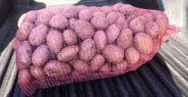 1. Tipo: Balatoni Rózsa (tipo húngaro, mejor calidad) Zirka