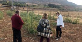 Esperando certificado de producto ecológico. Podemos comunicarnos a través