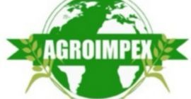 Compra de cereales en toda Polonia. ¡Condiciones de pago