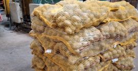 Origen de las patatas del norte de Francia de