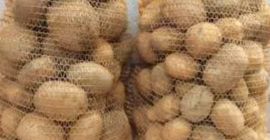 Venderé patatas vinieta - variedad de uso general. Cultivado