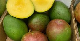 Hola, tengo un mango de segunda clase a la