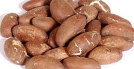 JoshWhale resources es una empresa de comercio agrícola de