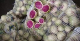 La compañía ucraniana &quot;Accent-Town&quot; llama a su atención el